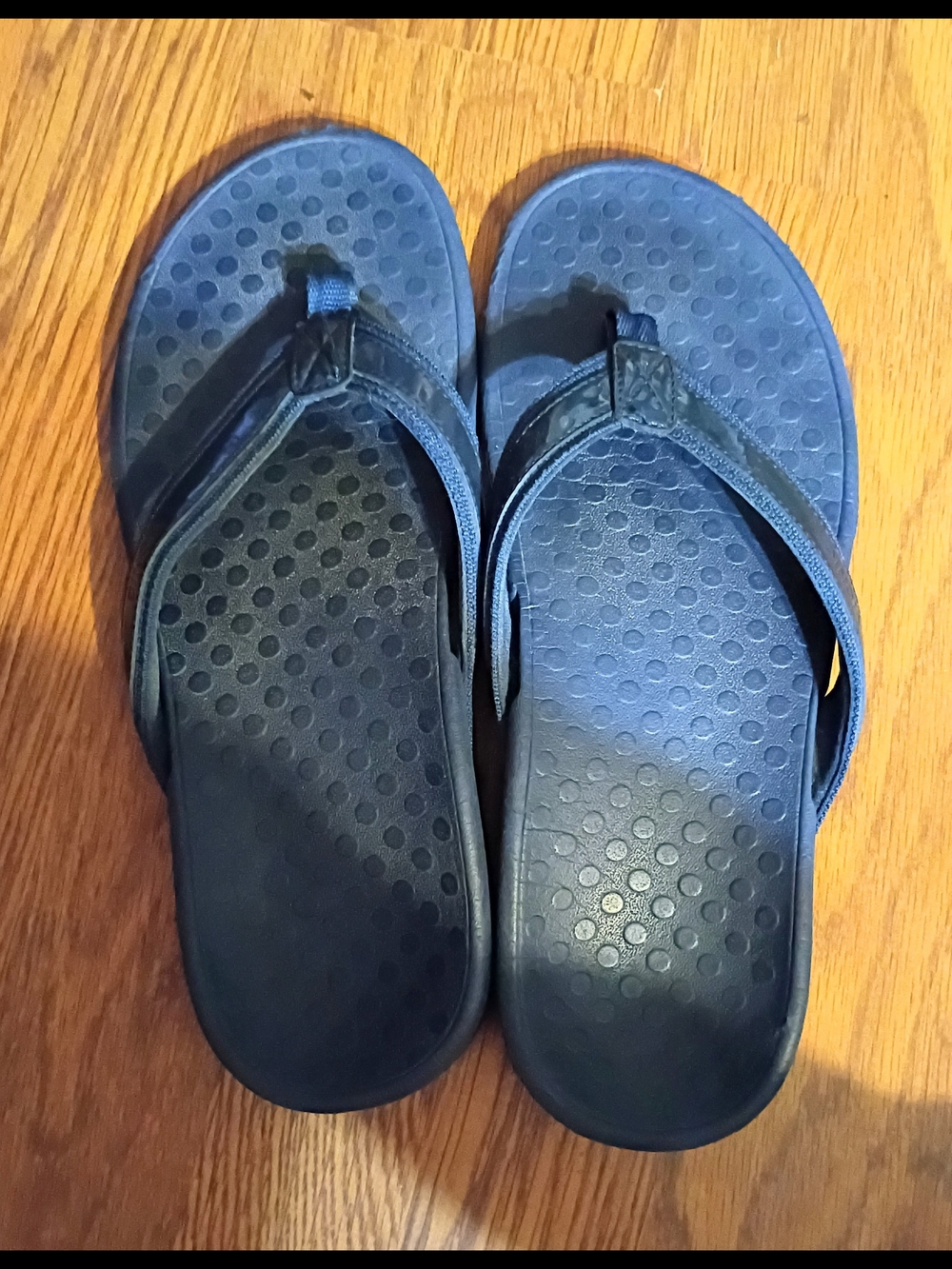 Vionic Men's Navy Blue Flip-Flop Sandals